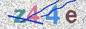 Image Anti-spam